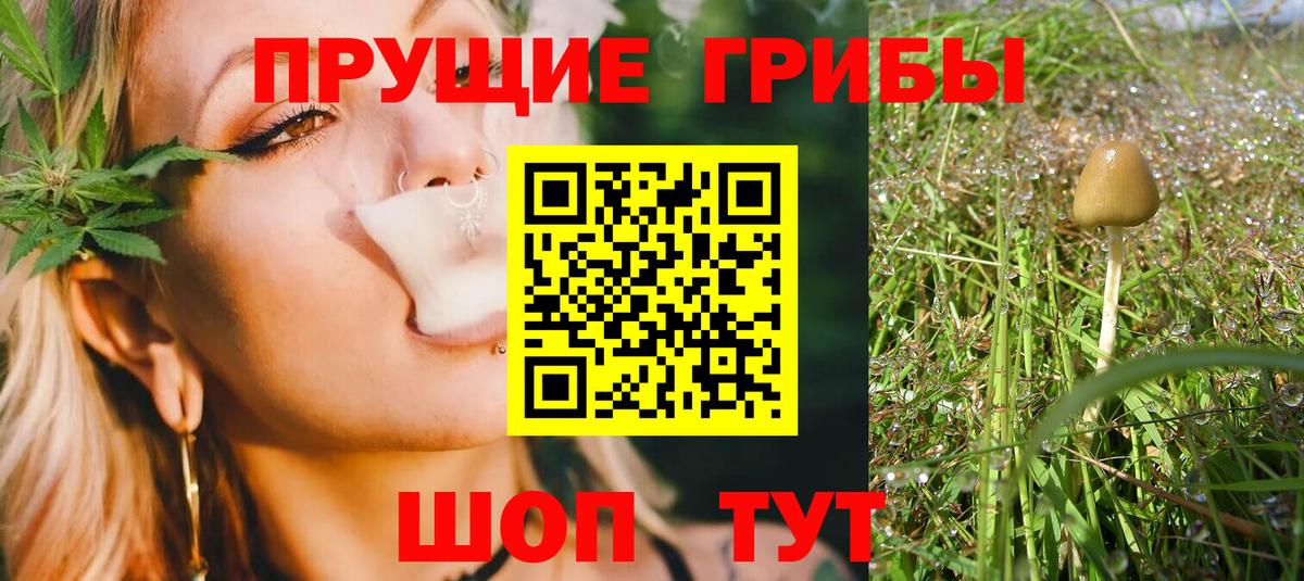 Псилоцибиновые грибы Cubensis  Галлюциногенные грибы мухоморы  Вход с VPN  Верхний Уфалей 